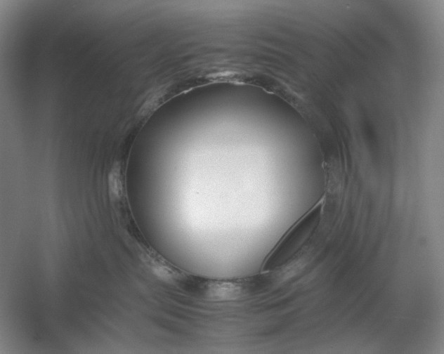 X0000054410287200508192039