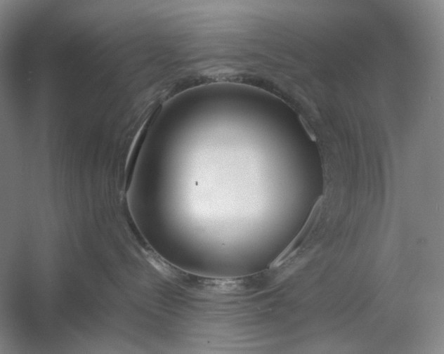 X0000054410288200508192039