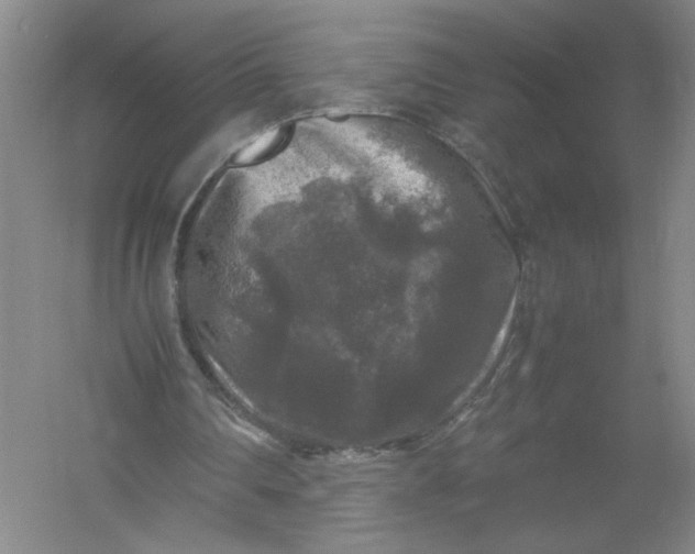 X0000054410290200508192038