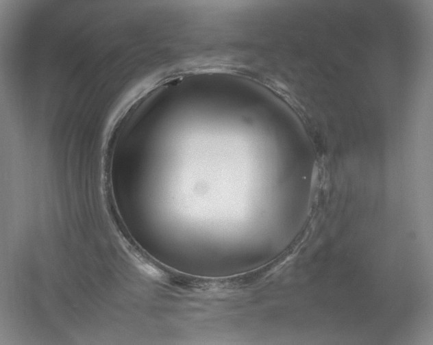 X0000054410293200508192038