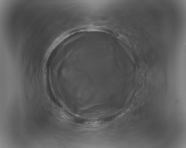 X0000054410295200508192038