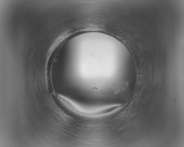 X0000054410296200508192038