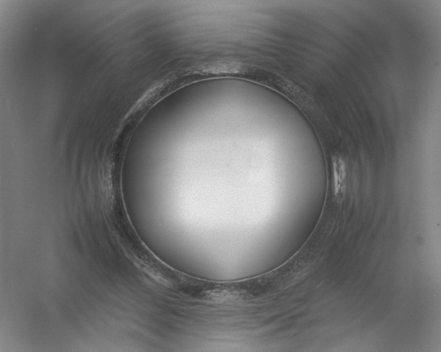 X0000054410300200508192038