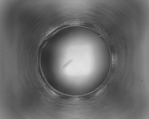 X0000054410301200508192038
