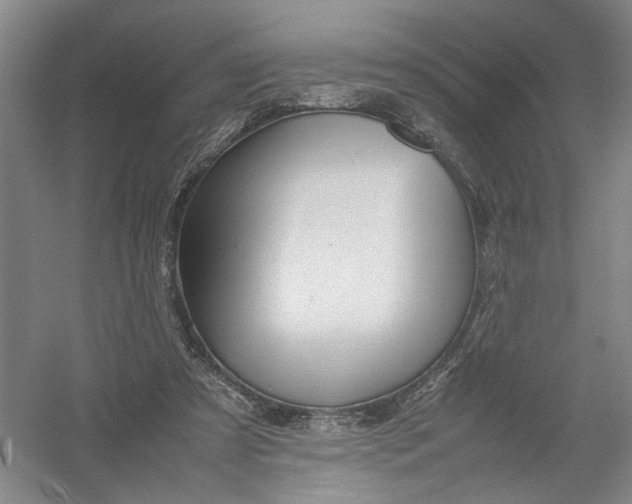 X0000054410305200508192038