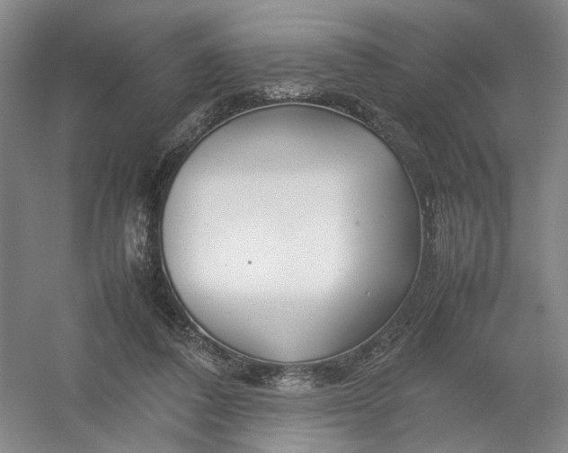 X0000054410308200508192038