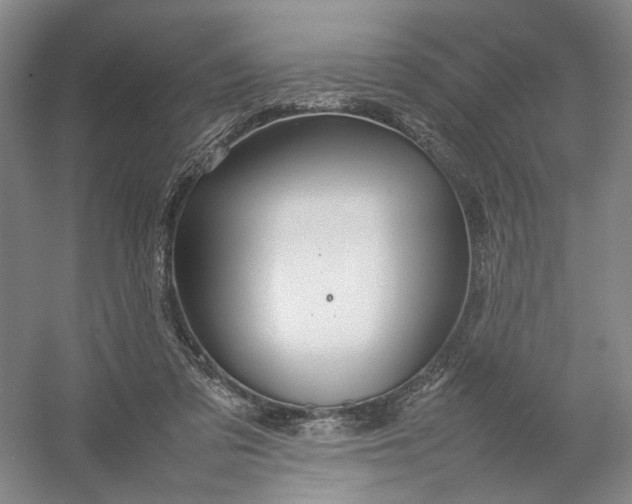 X0000054410309200508192038