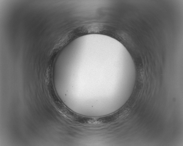 X0000054410311200508192038
