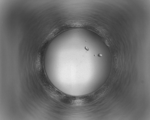 X0000054410312200508192038