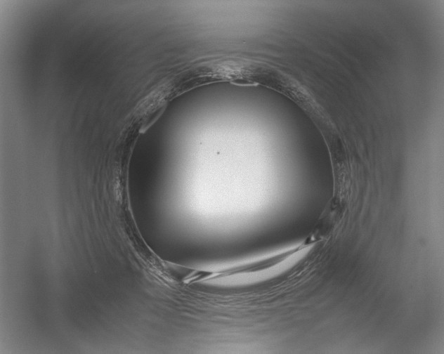 X0000054410313200508192038