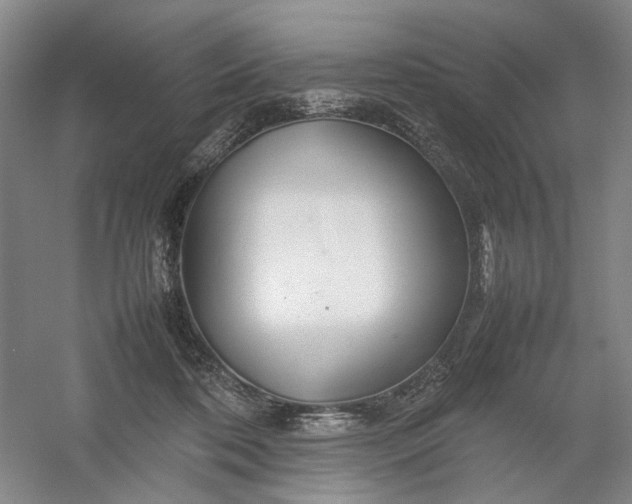 X0000054410316200508192038