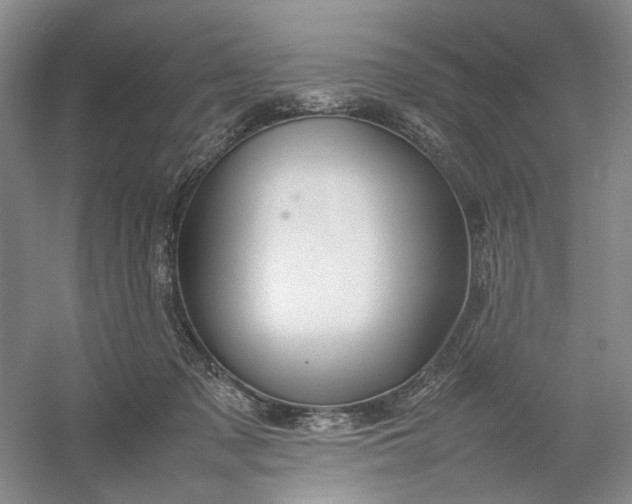 X0000054410317200508192038