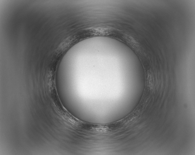 X0000054410318200508192038
