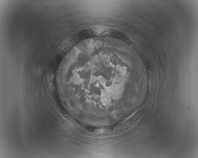 X0000054410319200508192038