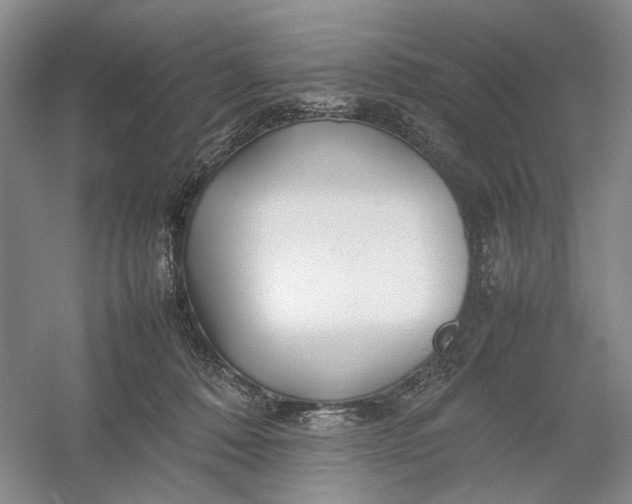 X0000054410320200508192038