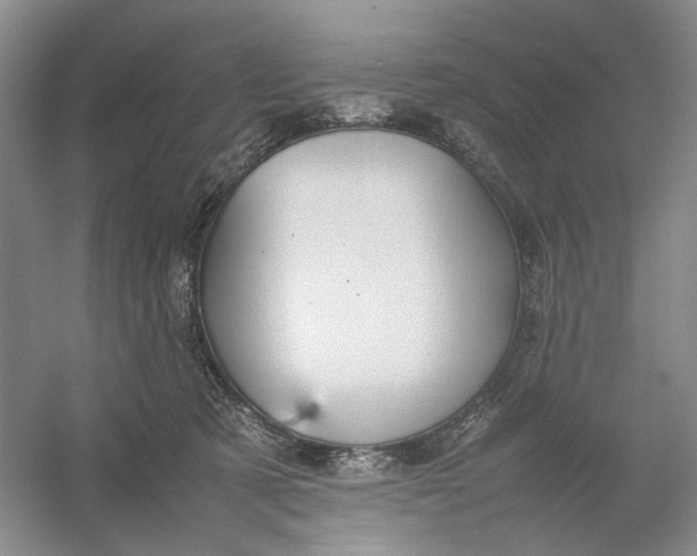 X0000054410321200508192038