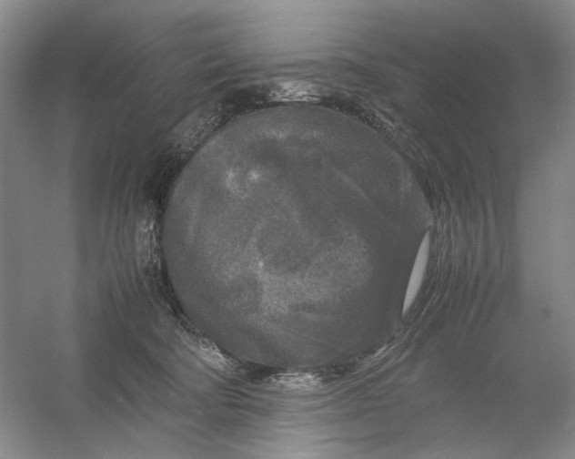 X0000054410322200508192038