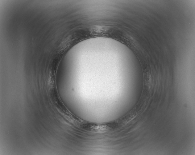 X0000054410324200508192038