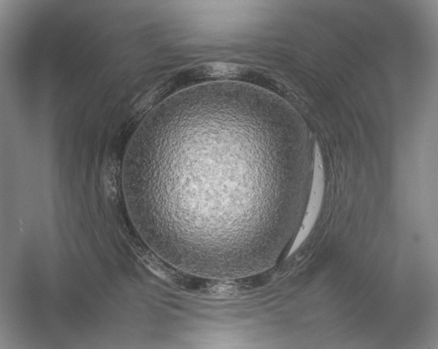 X0000054410325200508192038