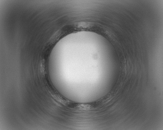 X0000054410328200508192038