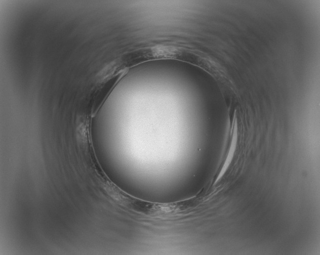X0000054410329200508192038