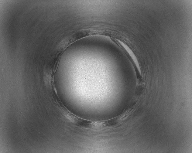 X0000054410333200508192038