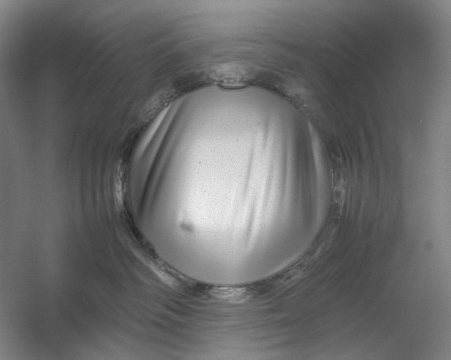 X0000054410334200508192038