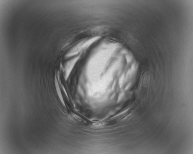 X0000054410335200508192038