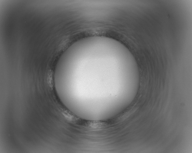 X0000054410336200508192038