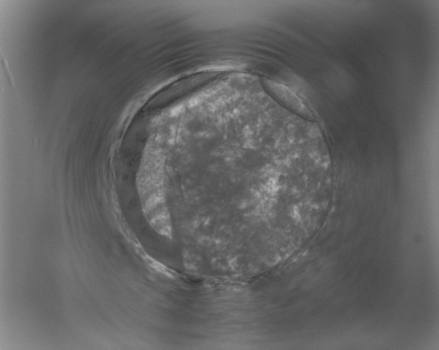 X0000054410337200508192037