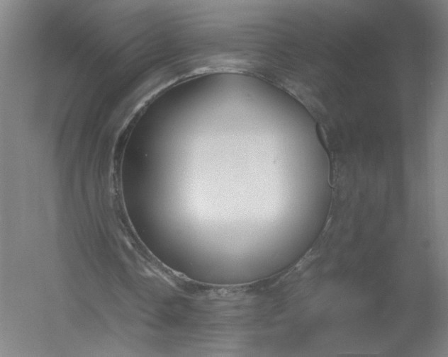X0000054410338200508192037