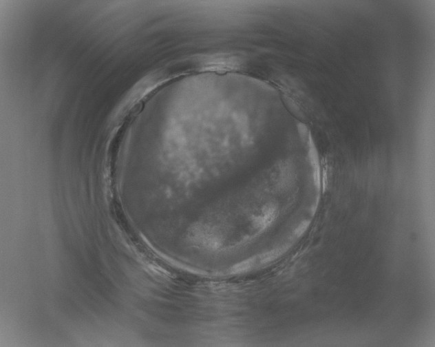 X0000054410339200508192037