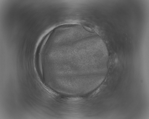 X0000054410342200508192037