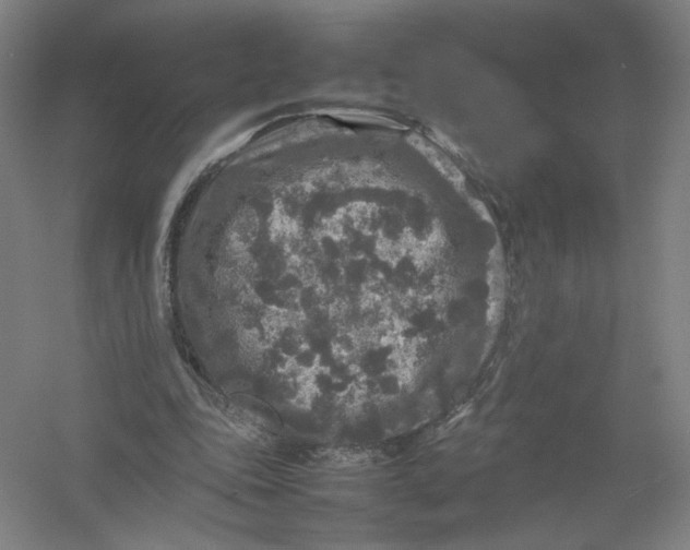 X0000054410343200508192037