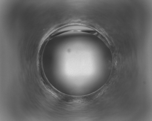 X0000054410344200508192037
