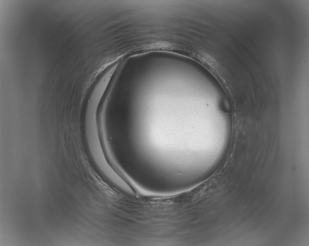 X0000054410345200508192037