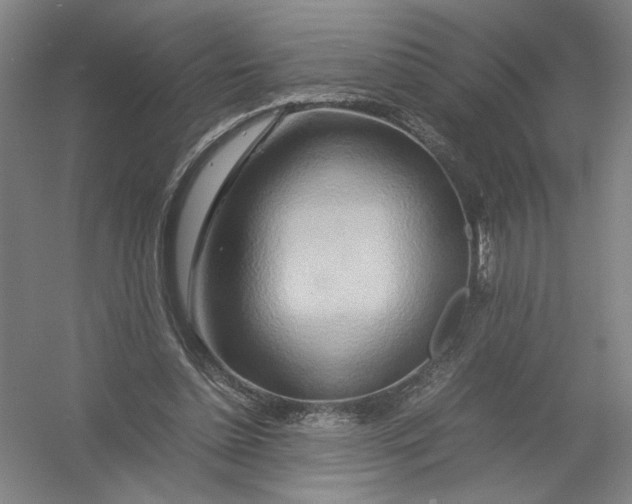 X0000054410348200508192037