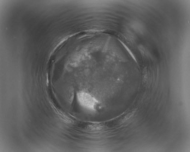 X0000054410351200508192037