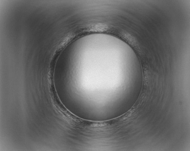 X0000054410354200508192037