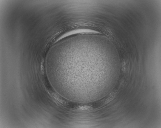 X0000054410360200508192037