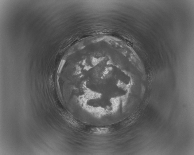 X0000054410361200508192037