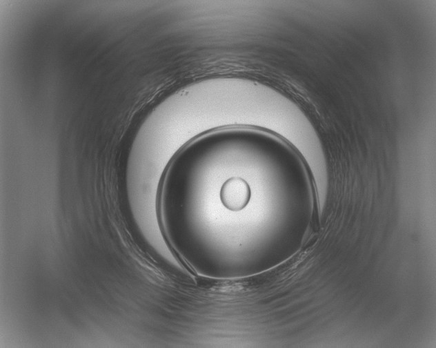 X0000054410362200508192037