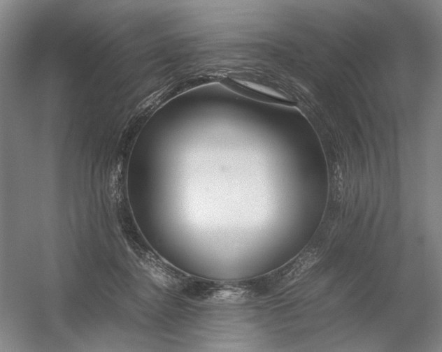 X0000054410364200508192037