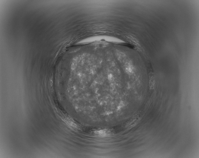 X0000054410365200508192037