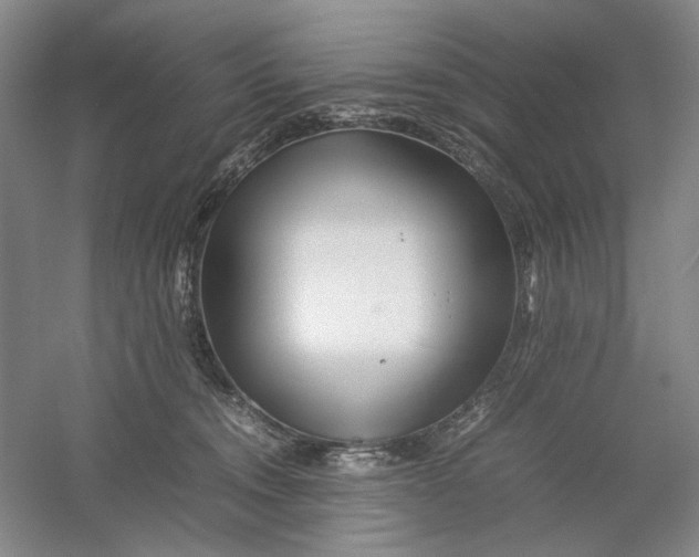 X0000054410372200508192037