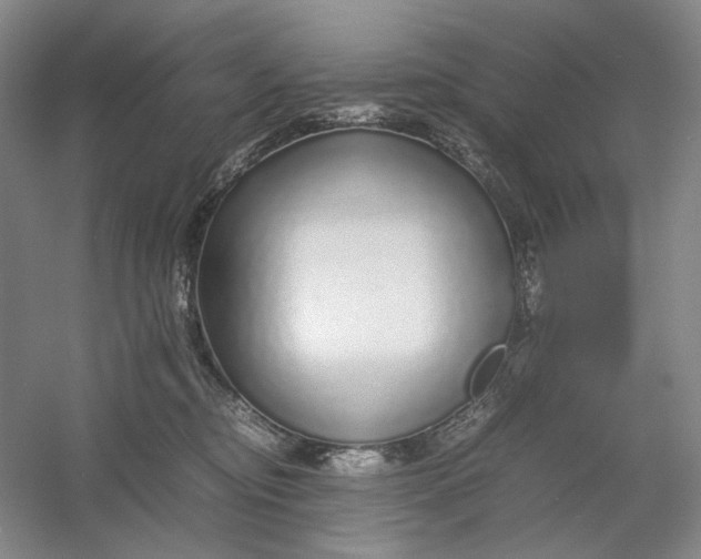 X0000054410374200508192037