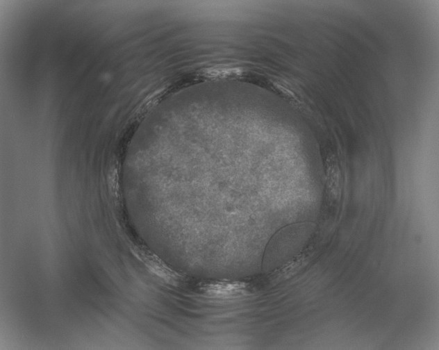X0000054410375200508192037