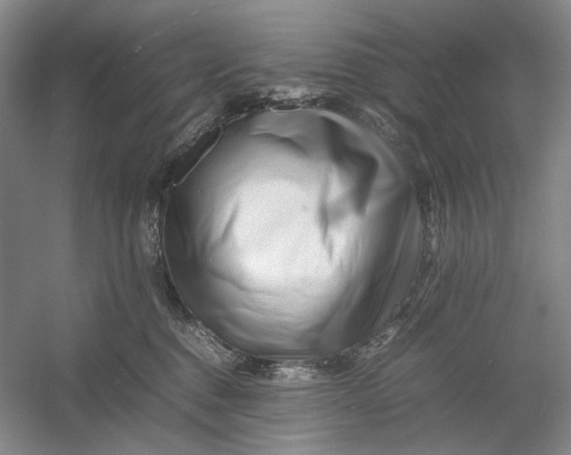 X0000054410376200508192037