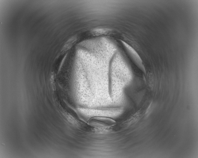 X0000054410378200508192037