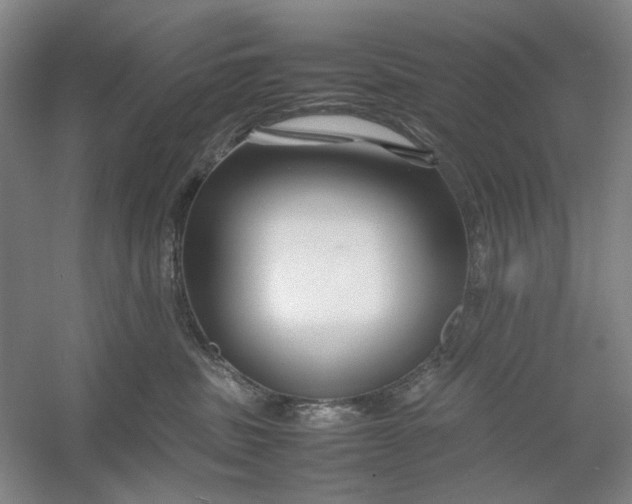 X0000054410379200508192037